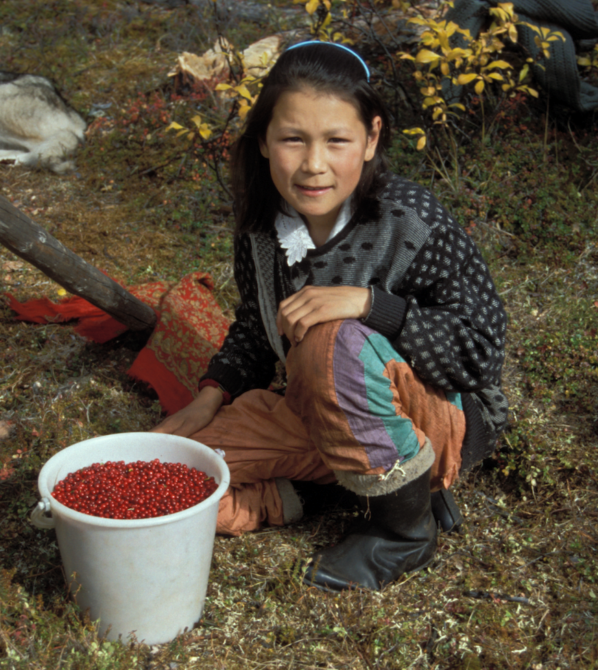 A berry-collecting expedition at the obshchina Kaiettyn.