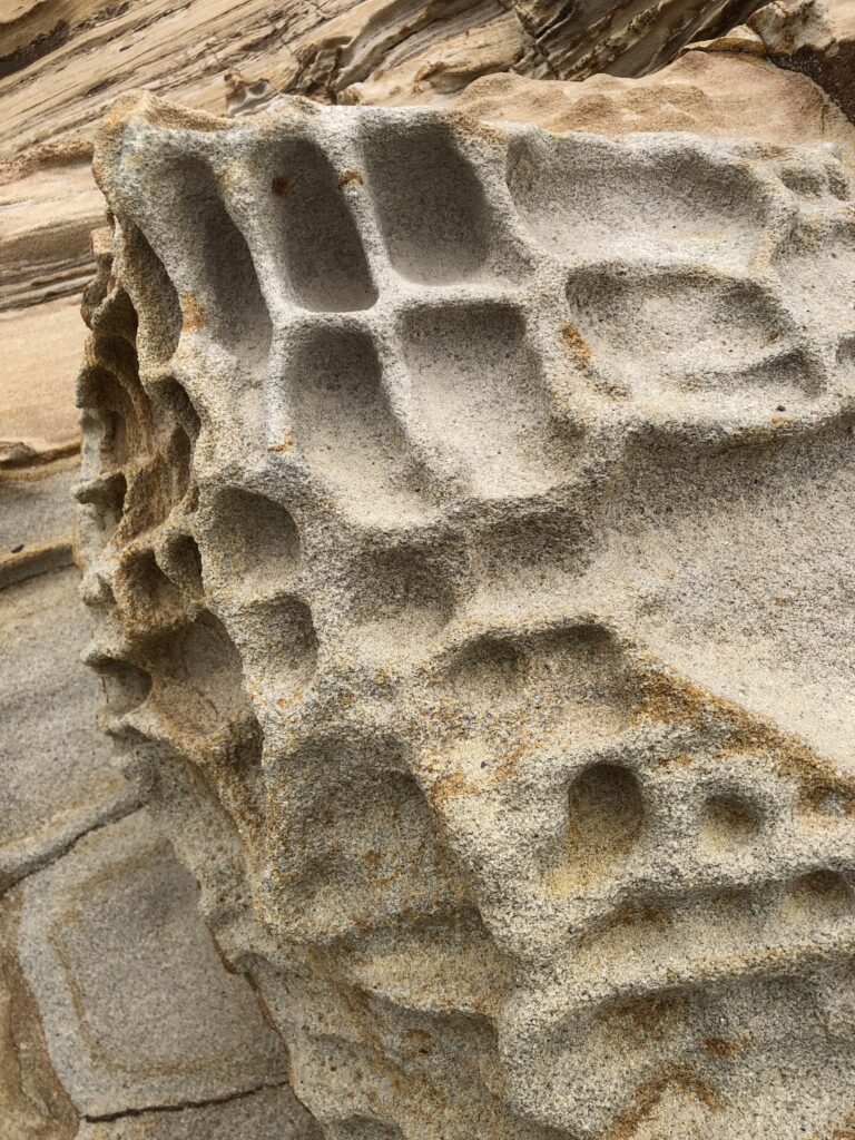 Point Reyes stone cliff face with natural square holes in it